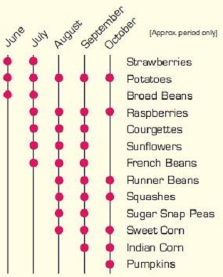 Seasonal Crop Availability